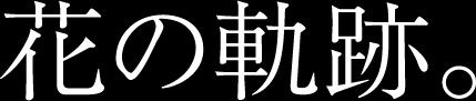 花の軌跡