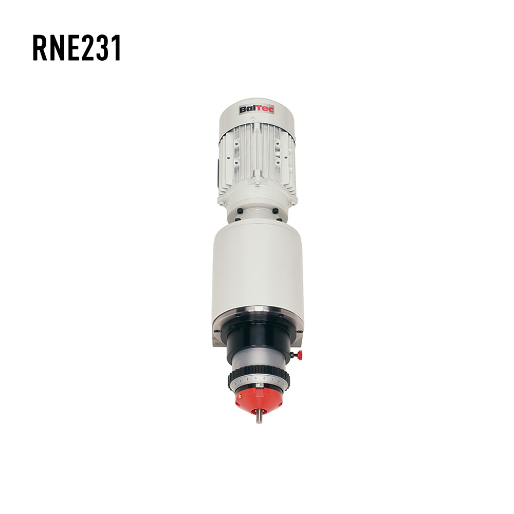 RNE231